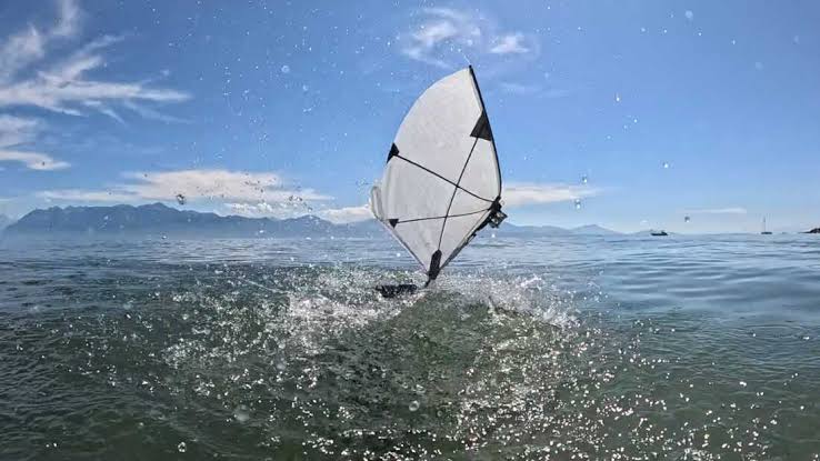 A new kind of robot swims the seas and soars the skies