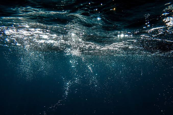 Earth’s Oceans Are Rapidly Losing Oxygen. It Could Destabilize the Planet