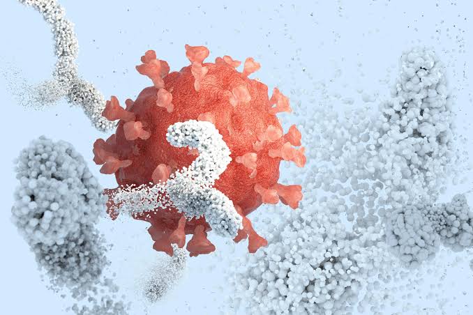 Scientists Finally See How Antibodies Really Attack Viruses