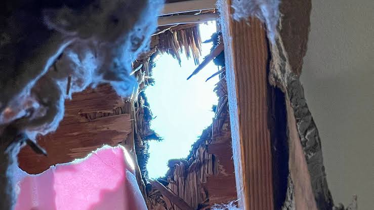 It’s a Treasure to Science. Too Bad It Came Through Their Roof.