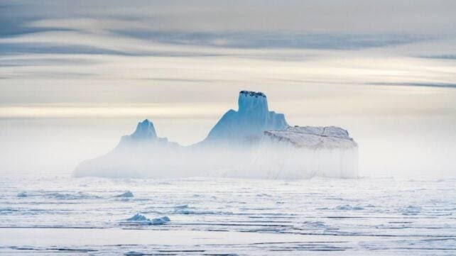 Icebergs Are Transforming Deep-Sea Ecosystems, Scientists Discover