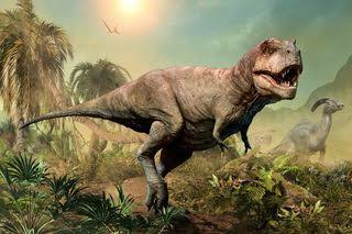 Robust Skulls May be Why T. rex and Other Theropods Have Those Unusually Small Arms