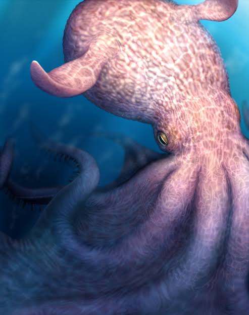 Giant octopuses once roamed Cretaceous oceans