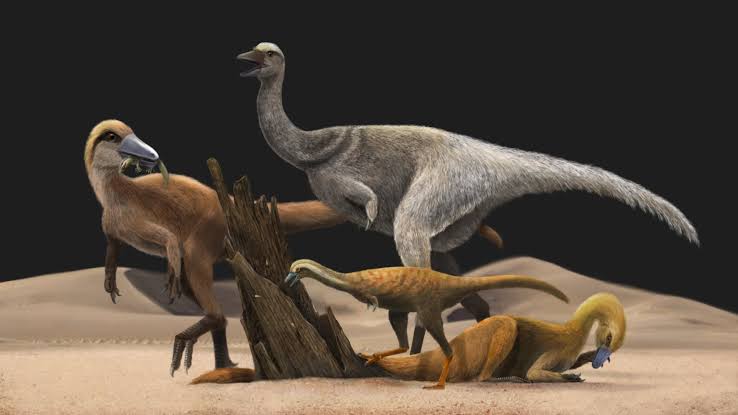 Tiny-armed alvarezsauroid dinosaurs might have been insect eaters, fossil scans suggest