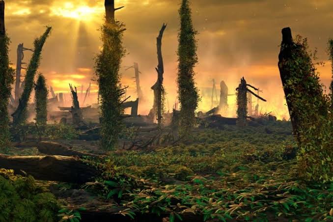 Volcanoes Started Earth’s ‘Great Dying.’ This Unexpected Plant Made It Worse