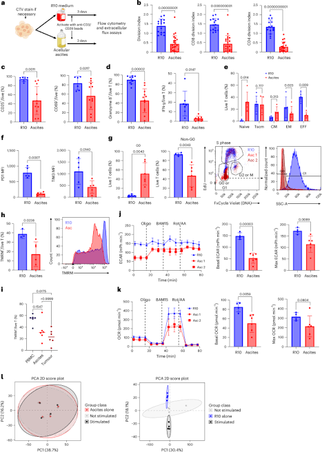 Lipids in ovarian cancer ascites impair T cell activation by disrupting TCR dynamics