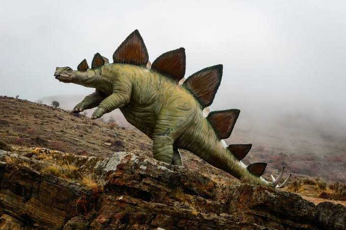 A Single Skull Just Rewrote What We Know About Stegosaurs
