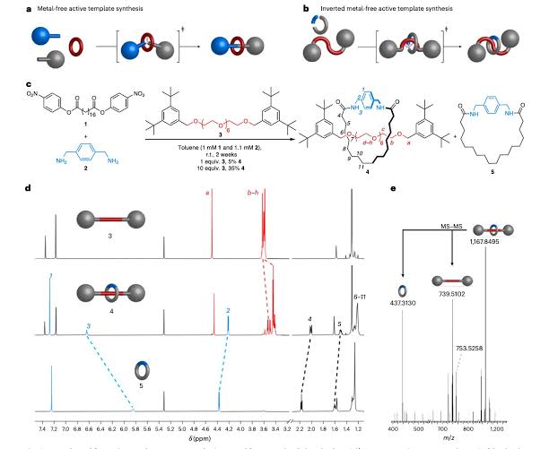 Self‑building molecular rings bring next‑generation drug delivery and smart materials closer