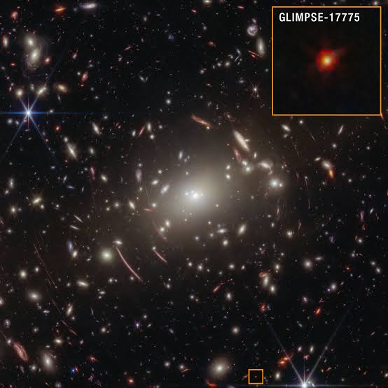 NASA Webb Finds Strongest Evidence Yet for ‘Black Hole Stars’