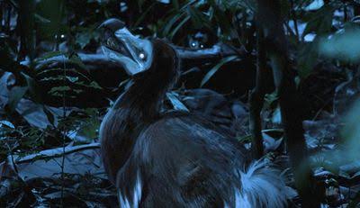 Slow, Fat, And Stupid? Think Again. The Dodo Was An Active, Lean Bird And A Creature Of The Night