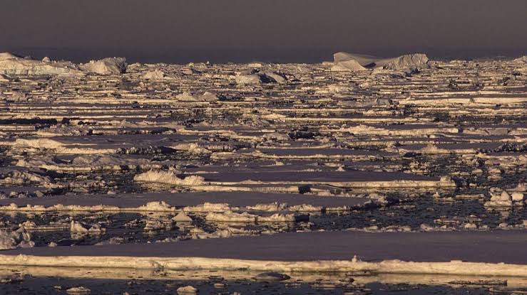Antarctica’s sudden sea ice loss is one of the most extreme and confusing events in the modern climate record. Scientists now know why it's happening.