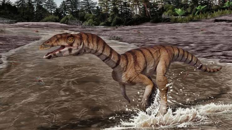Triassic-era crocodile relative walked on 2 legs, had a beaked mouth