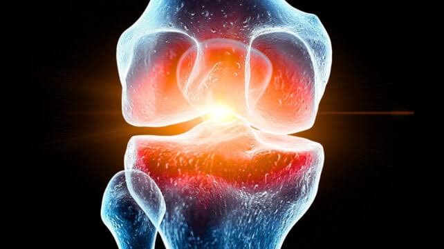 Plant Compound Protects Mice From Knee Cartilage Damage in Space