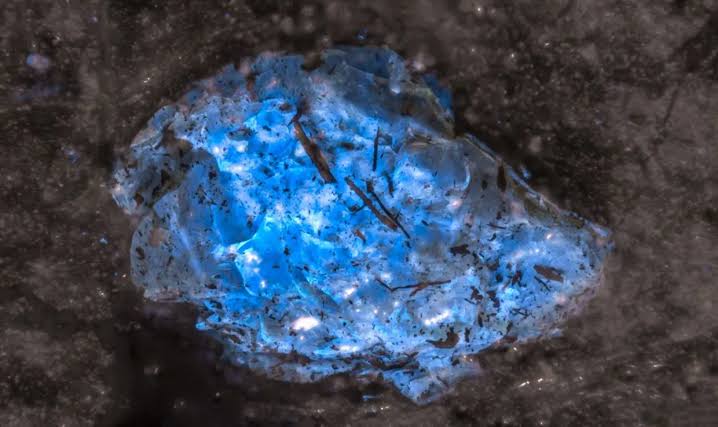 China team unearths world’s oldest amber, hidden in ancient Xinjiang coal seam