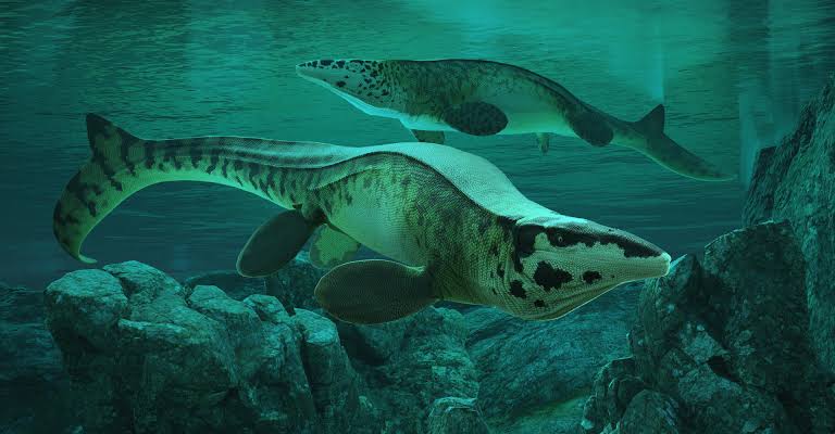 ‘T. rex’ Mosasaur Ruled the Seas 80 Million Years Ago