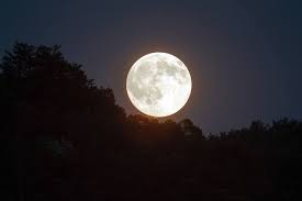 Full Buck Moon rises this week: What to know before it peaks