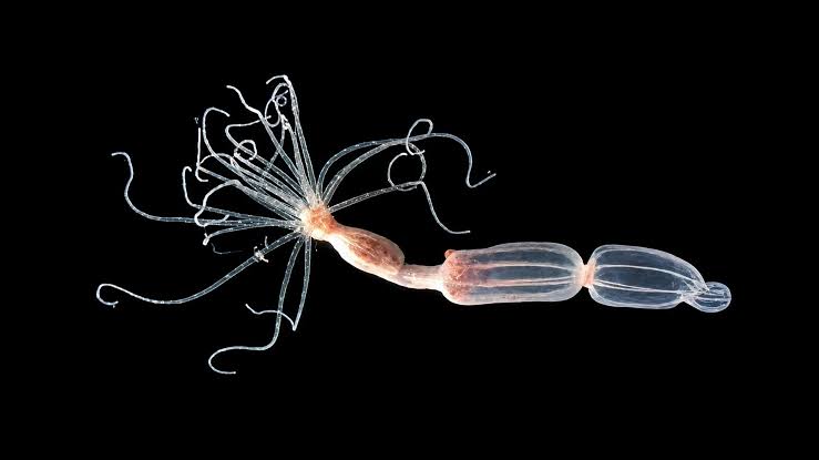 Scientists discover a completely different way to fight viruses