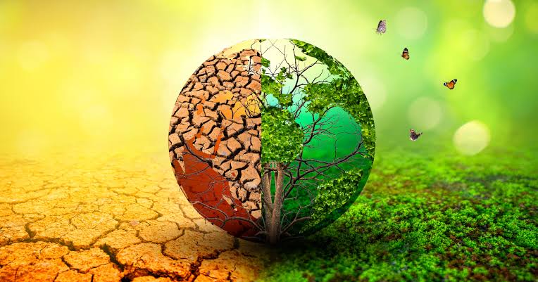 The paper that explained why every living thing on Earth exists was rejected by 15 journals before anyone took it seriously — and the idea it contained is stranger than most science fiction