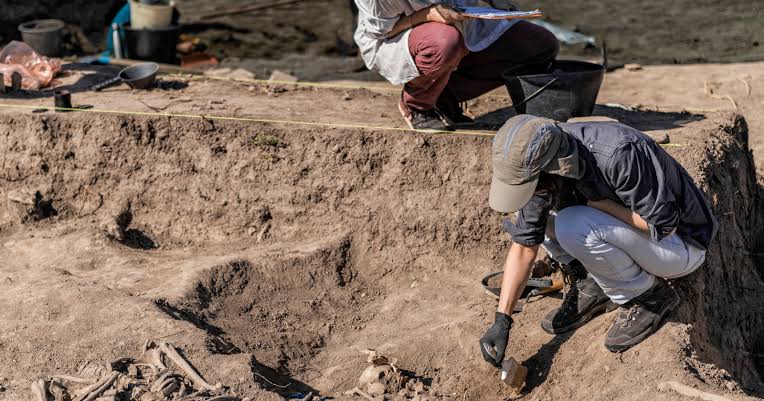 Fossils found in Scotland just pushed back the origin of land-walking animals by 14 million years and placed them in a stretch of the fossil record where nothing was supposed to exist