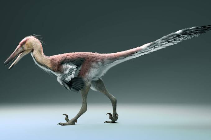 New Dinosaur Species from Argentina May Have Specialized in Catching Fish
