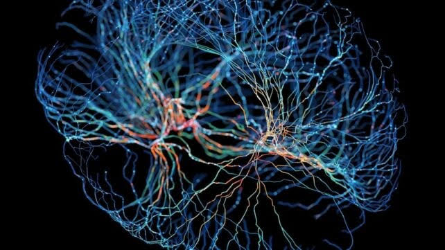 Scientists Find Hidden 'Focus Switch' in The Brain – And It May Hold Clues to ADHD