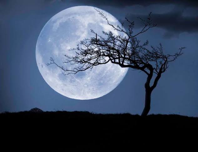 See A Rare ‘Blue Moon’ Rise After Sunset This Week