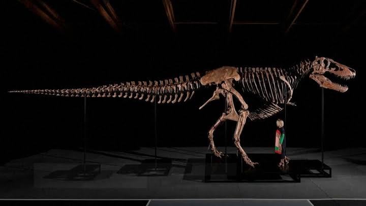 Who wouldn’t spend $50m on a dinosaur if they had the cash?