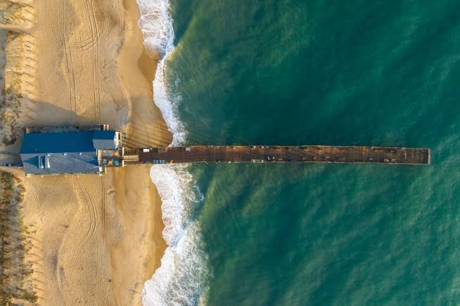 1.7K-Pound Great White Cruises by Outer Banks