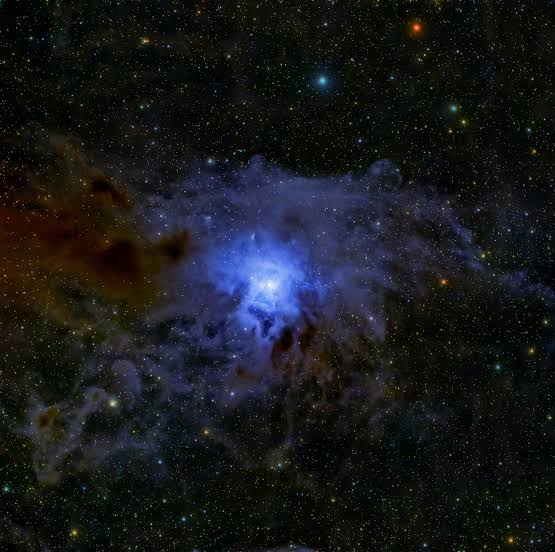 XENONnT detector narrows the hunt for dark matter