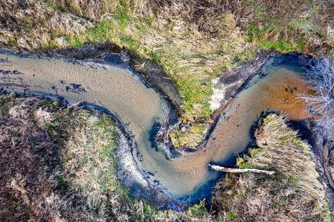 Geologists have taught for decades that rivers needed plants to form their distinctive S-shaped meanders, but Stanford University researchers published a study in August 2025 showing that rivers were carving those curves long before vegetation existed on la