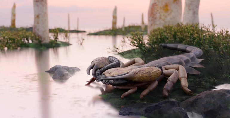 World’s largest scorpion revealed by 415-million-year-old fossils