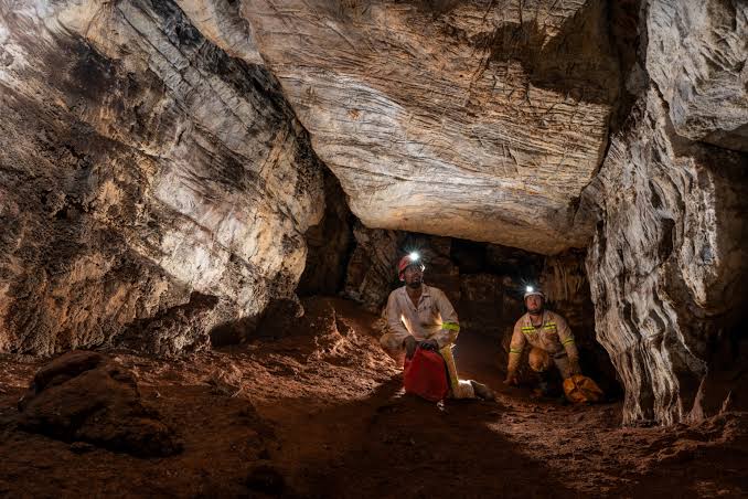 Scientists found 20 Homo naledi in a cave. Why are they all female?