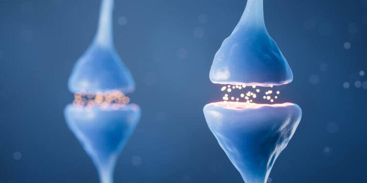 Dopamine dictates how long sexual drive remains suppressed after stress