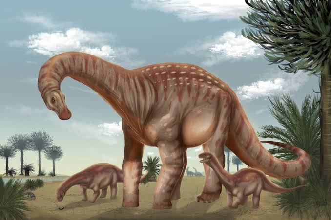 Paleontologists Discover New Species of Titanosaur in Uruguay