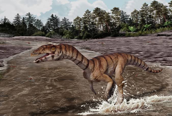 What a toothless, two-legged crocodile cousin reveals about life before dinosaurs dominated