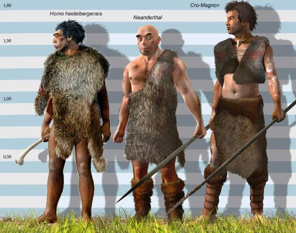 224,000-Year-Old Homo Skull Fragment Adds New Mystery to Human Origins