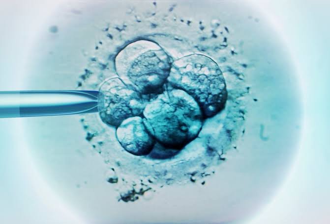 DNA editing of human embryos reignites debate over designer babies