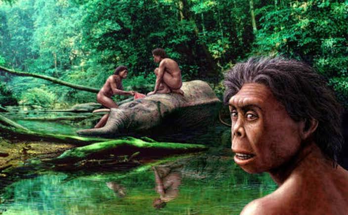 New fossil discovery explains the disappearance of the Flores ‘Hobbits’ 61,000 years ago