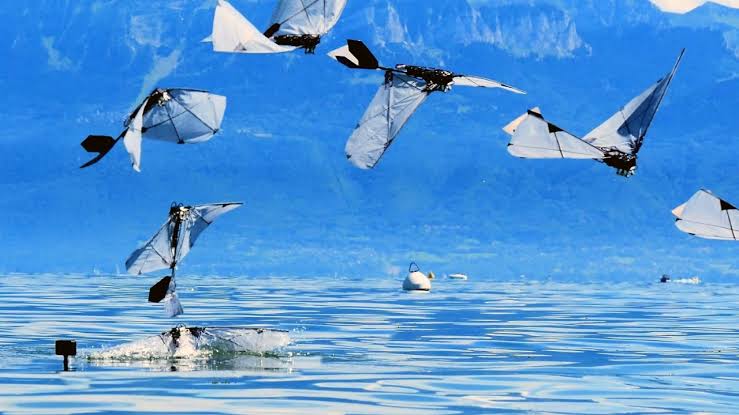 Robot bird swims underwater then flies away