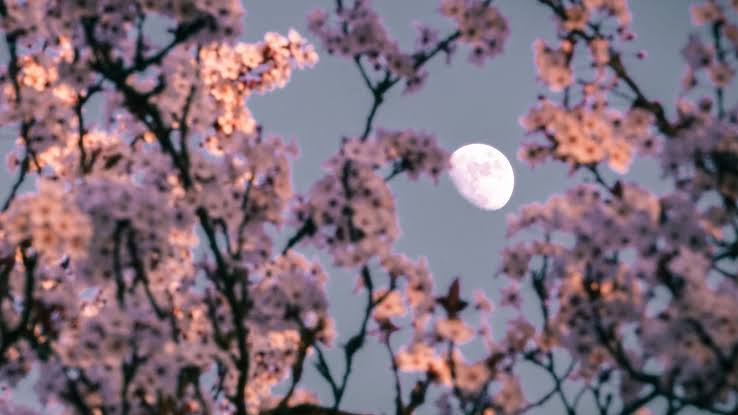 Here's the stargazing gear you need for April 2026 — don't miss the Lyrids, two comets and the full moon