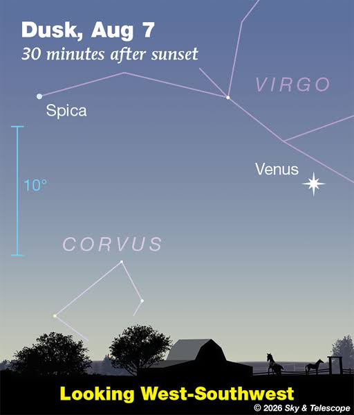 This Week's Sky at a Glance, August 7 – 16