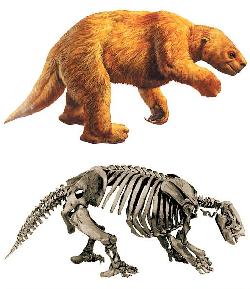 Before North and South America were connected, their mammals found a way to intermingle