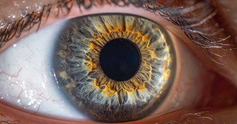 In 2017, a young woman glanced at a solar eclipse for only a handful of seconds, and days later doctors found the exact shape of the eclipse burned into the back of her eye. What she began drawing to describe her ruined vision matched that shape almost per