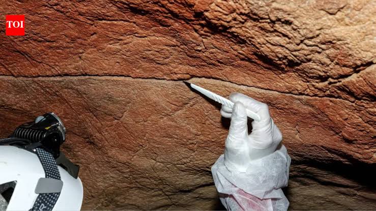 For the first time, scientists have recovered ancient DNA left behind on cave walls and rock art, opening