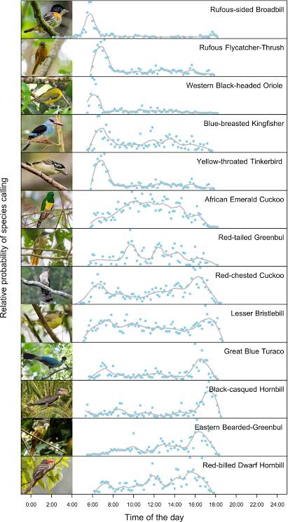 Costa Rica paid landowners to restore forests and biodiversity—bioacoustics indicate that it worked