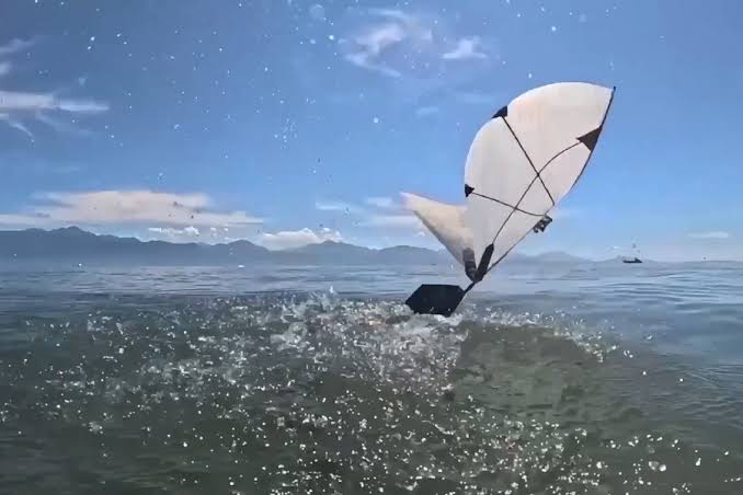 New flapping robot swims and flies like a diving bird