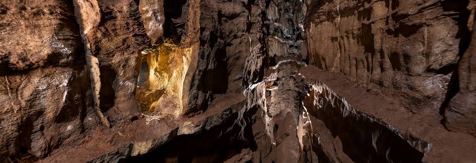 News - Genetic Material Recovered from 300,000-Year-Old Homo naledi Teeth