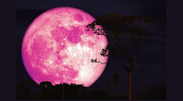 June strawberry moon to hang low in the summer sky. When to see it in N.J.