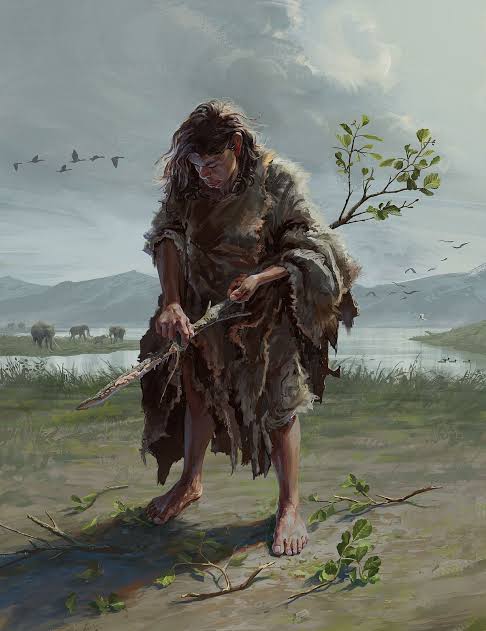 Scientists Discover 430,000-Year-Old Wooden Tools, Rewriting Human History