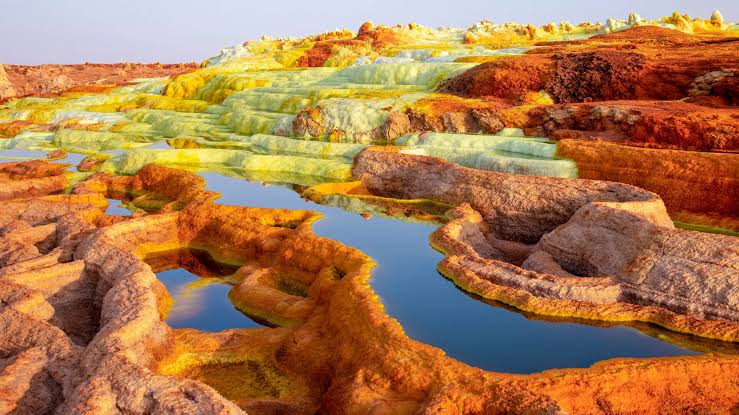 The Organisms That Make Earth’s Harshest Places Home